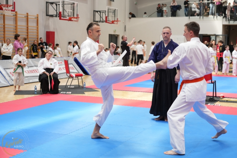 ABiRO-WraCUP-2024-019