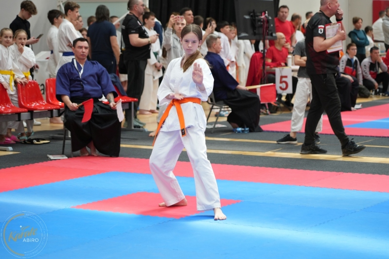 ABiRO-WraCUP-2024-024