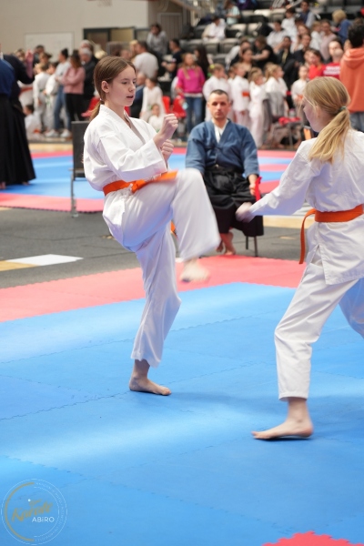 ABiRO-WraCUP-2024-026