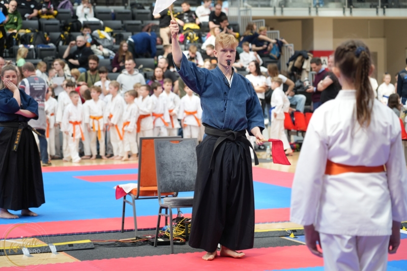 ABiRO-WraCUP-2024-028