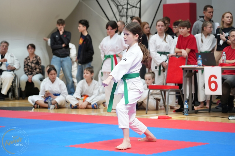ABiRO-WraCUP-2024-032
