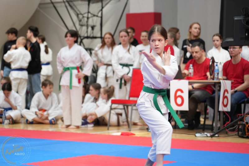 ABiRO-WraCUP-2024-033