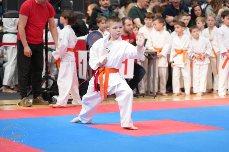 ABiRO-WraCUP-2024-037