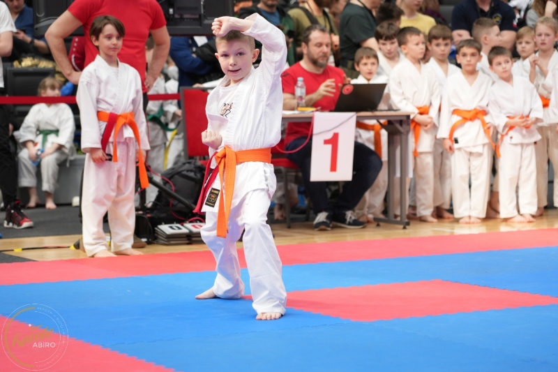 ABiRO-WraCUP-2024-038
