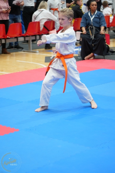 ABiRO-WraCUP-2024-042