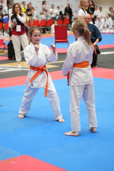 ABiRO-WraCUP-2024-050