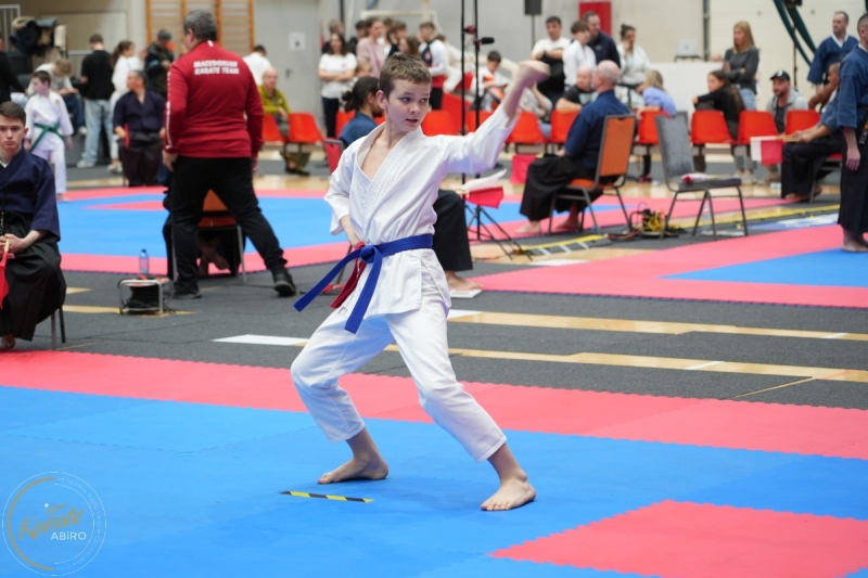 ABiRO-WraCUP-2024-060
