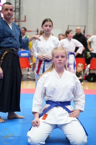 ABiRO-WraCUP-2024-061