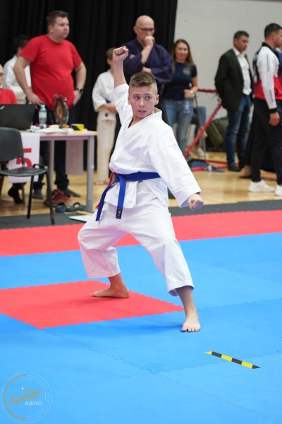 ABiRO-WraCUP-2024-064