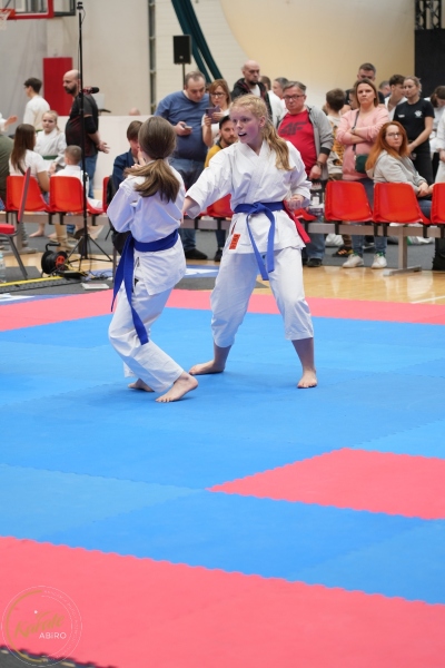 ABiRO-WraCUP-2024-077