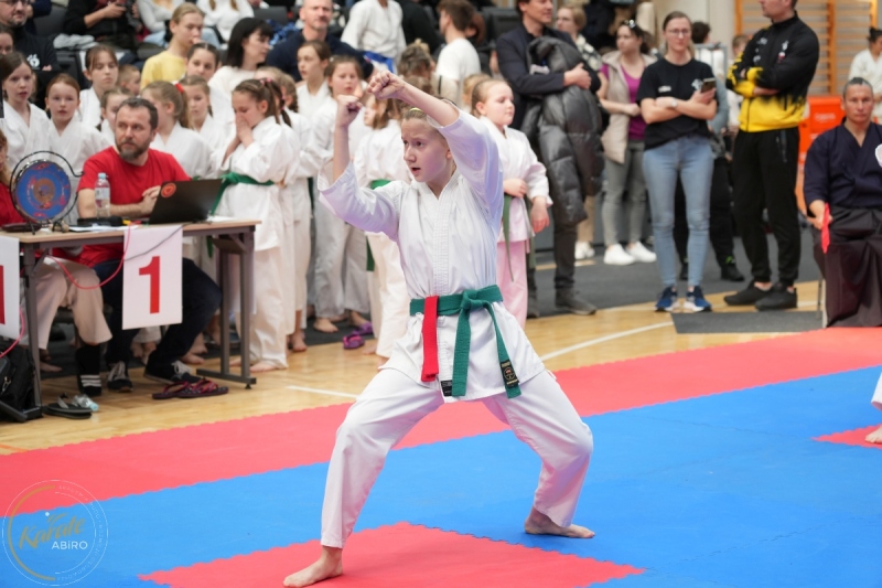 ABiRO-WraCUP-2024-084