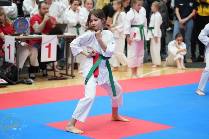 ABiRO-WraCUP-2024-086