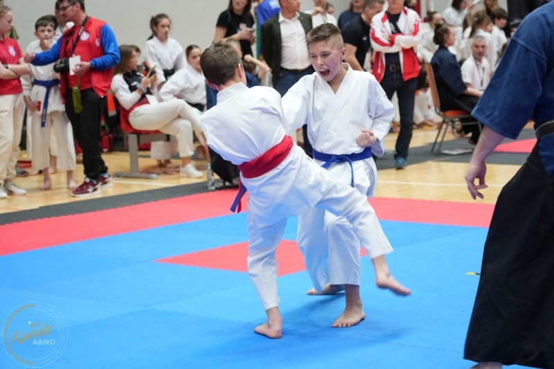 ABiRO-WraCUP-2024-088