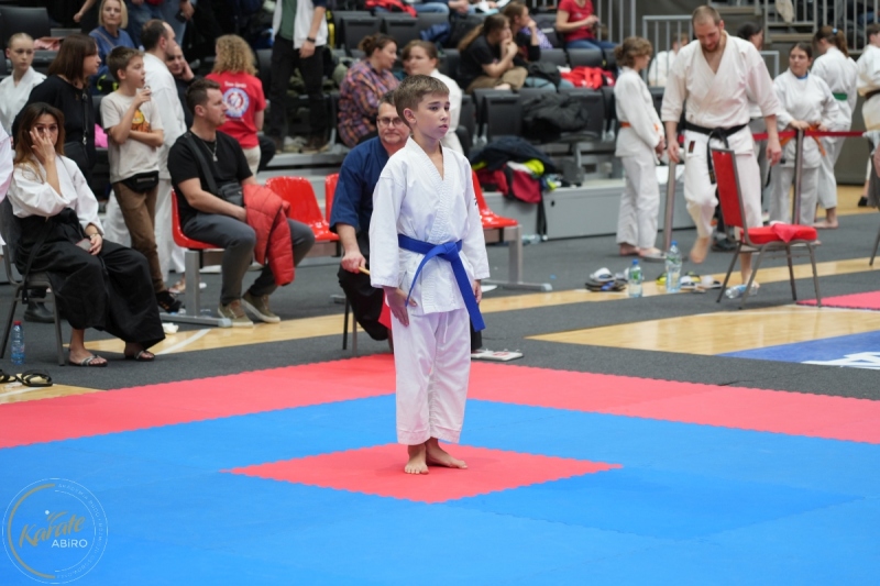 ABiRO-WraCUP-2024-090