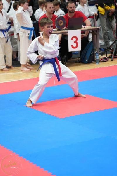 ABiRO-WraCUP-2024-092