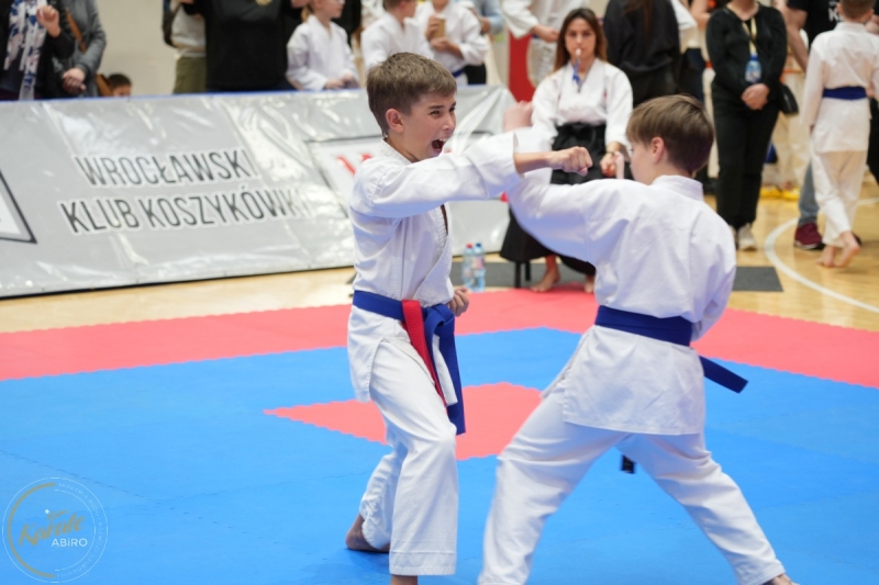 ABiRO-WraCUP-2024-093