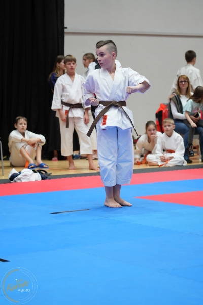 ABiRO-WraCUP-2024-098