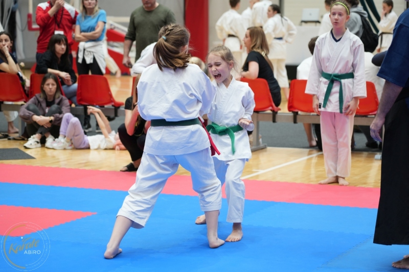 ABiRO-WraCUP-2024-100