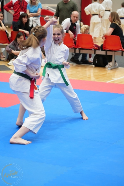 ABiRO-WraCUP-2024-101