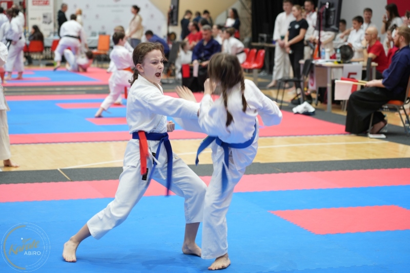 ABiRO-WraCUP-2024-115