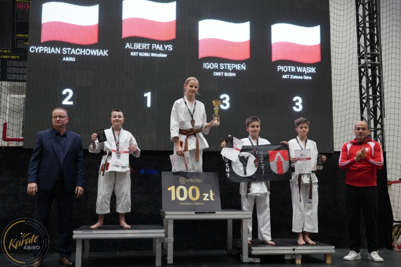 ABiRO-WraCUP-2024-116