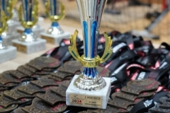 ABiRO-WraCUP-2024-002