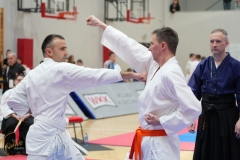 ABiRO-WraCUP-2024-017