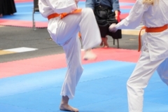 ABiRO-WraCUP-2024-026
