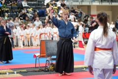 ABiRO-WraCUP-2024-028