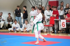 ABiRO-WraCUP-2024-032