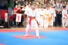 ABiRO-WraCUP-2024-034