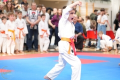 ABiRO-WraCUP-2024-035
