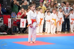 ABiRO-WraCUP-2024-036