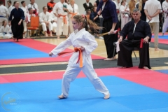 ABiRO-WraCUP-2024-039