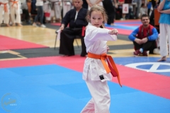 ABiRO-WraCUP-2024-040