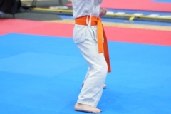 ABiRO-WraCUP-2024-041