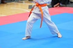 ABiRO-WraCUP-2024-042