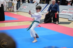 ABiRO-WraCUP-2024-043