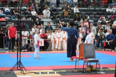 ABiRO-WraCUP-2024-046