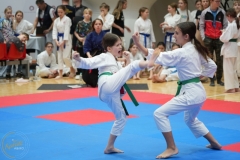 ABiRO-WraCUP-2024-047