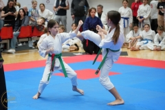 ABiRO-WraCUP-2024-048