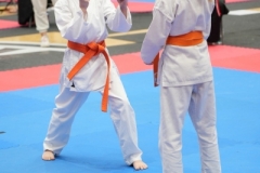 ABiRO-WraCUP-2024-050