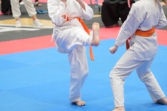 ABiRO-WraCUP-2024-051