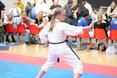 ABiRO-WraCUP-2024-052