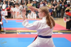 ABiRO-WraCUP-2024-053
