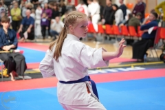 ABiRO-WraCUP-2024-055