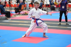ABiRO-WraCUP-2024-059