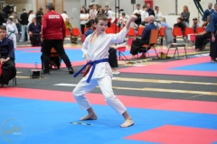 ABiRO-WraCUP-2024-060