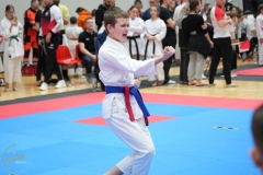 ABiRO-WraCUP-2024-062