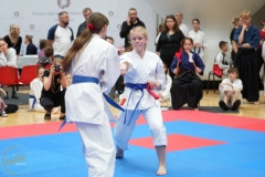 ABiRO-WraCUP-2024-066
